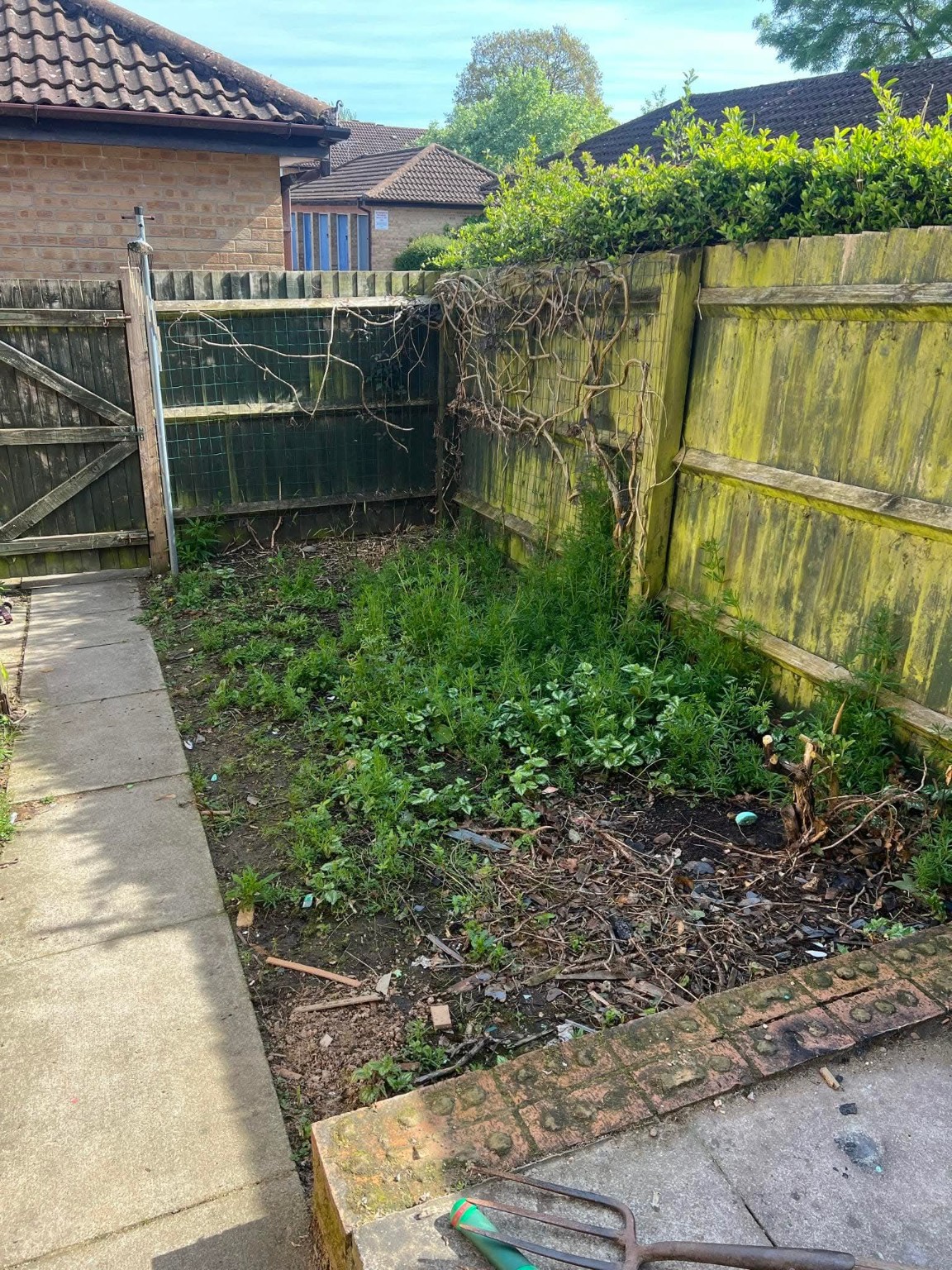 Weeds in a border beside a timber fence