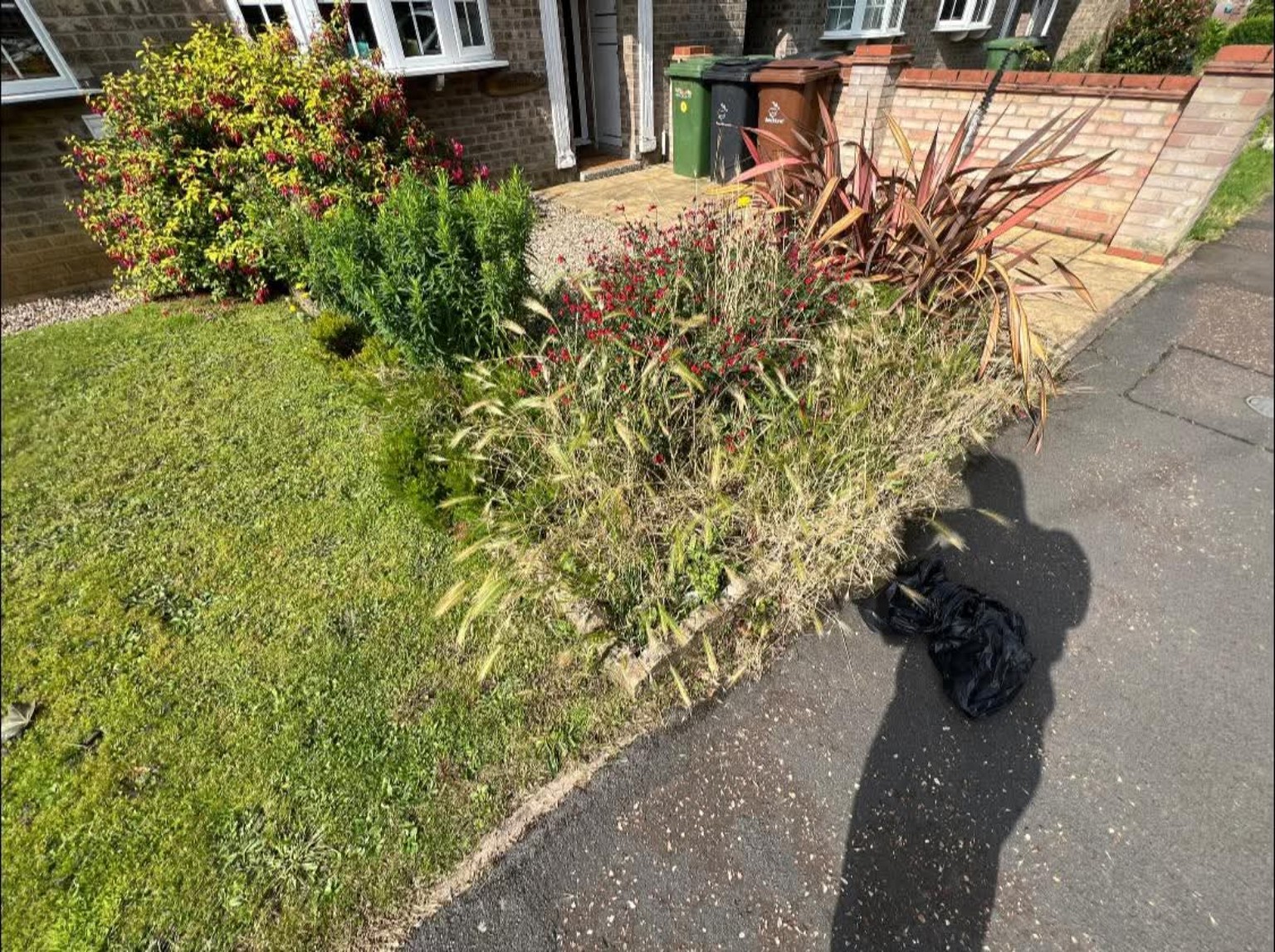 Overgrown front garden border beside a footpath